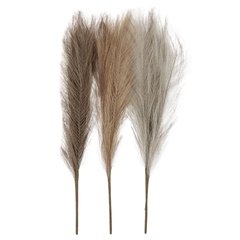 Bimë artificiale Bari dekorativ Pampas | Kafe, gri, Bezhë
