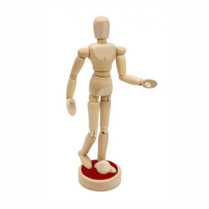 Model druri i trupit të njeriut me magnet - unisex 30.5 cm