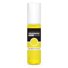 Pastë Pigmenti për Dekorim Muri 20 ml | Nuanca të ndryshme