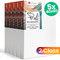 Set kanavacë 3D ARTMIE 5 copë - Cilësia e 2-të - 40x60 cm